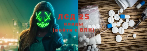 ГАЛЛЮЦИНОГЕННЫЕ ГРИБЫ Аркадак