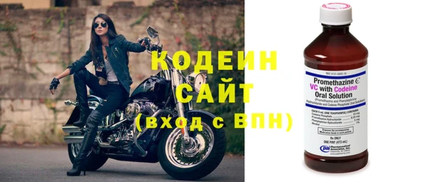 ГАЛЛЮЦИНОГЕННЫЕ ГРИБЫ Аркадак