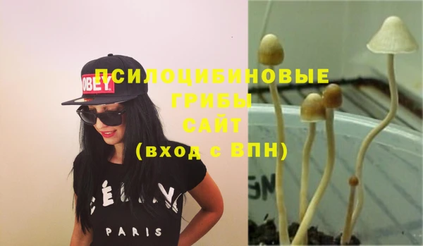 таблы Арсеньев