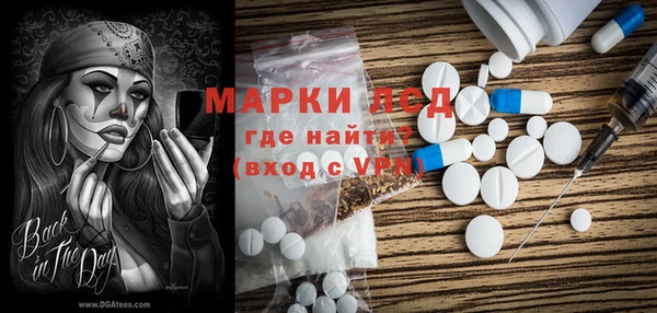 ГАЛЛЮЦИНОГЕННЫЕ ГРИБЫ Аркадак